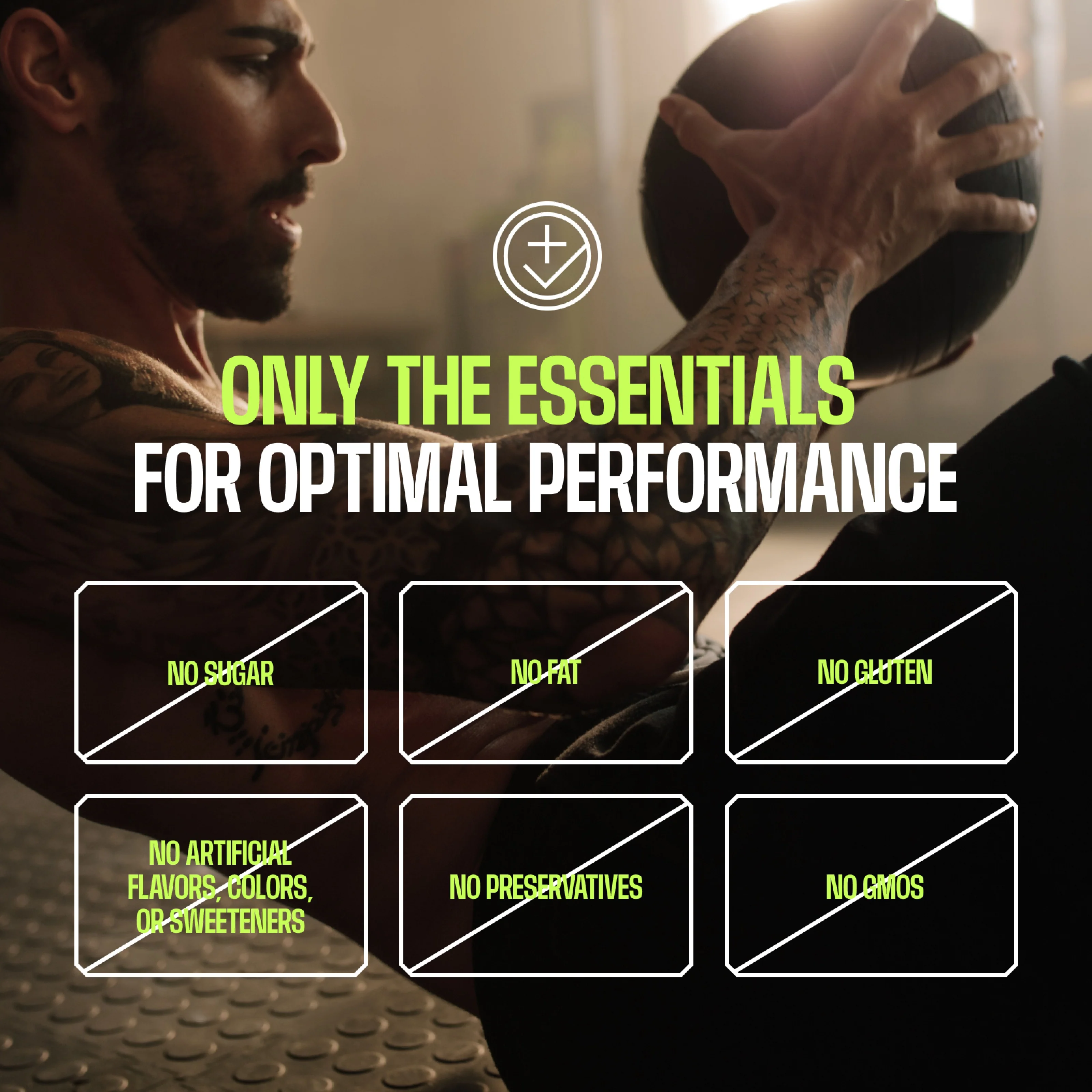 Frog Fuel Performance Greens + Protein - Image 10