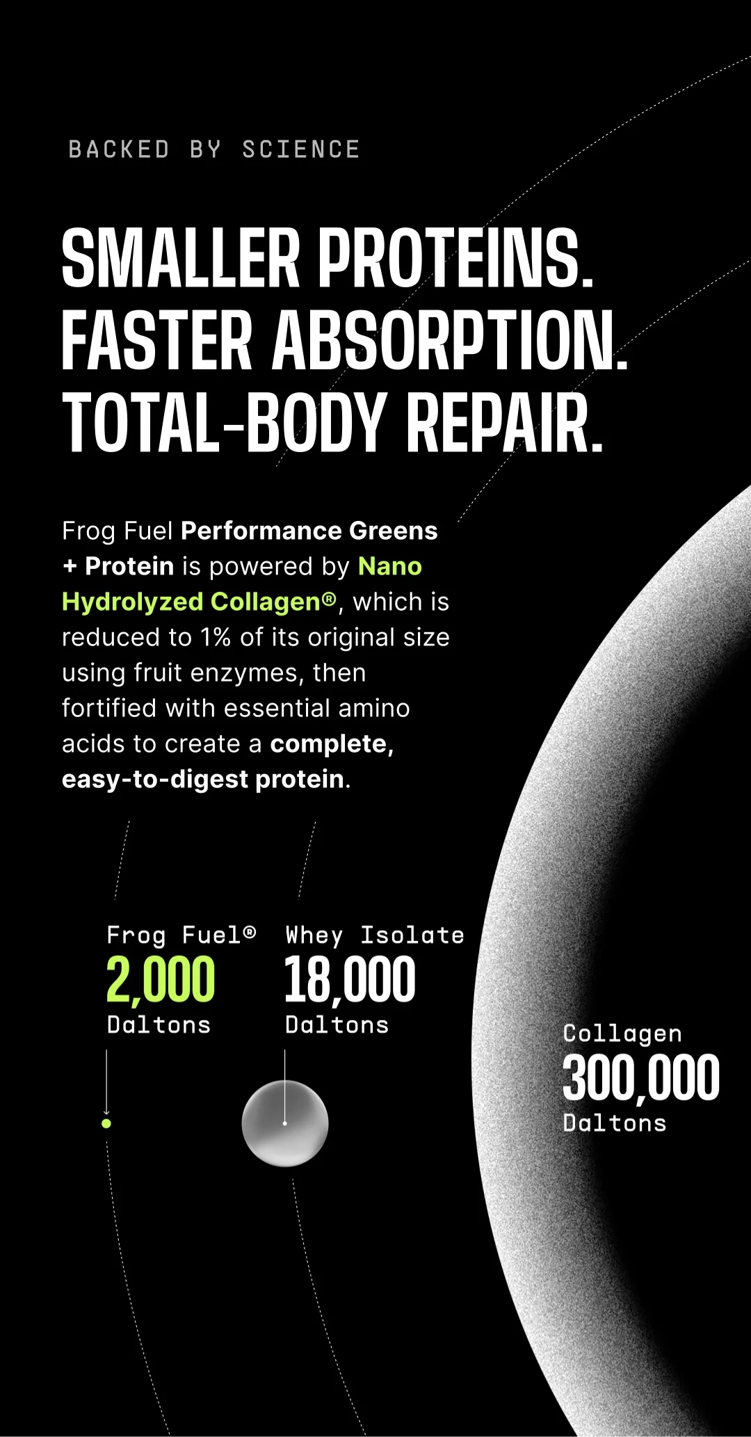 Frog Fuel Performance Greens + Protein - Image 11